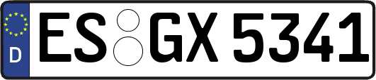 ES-GX5341