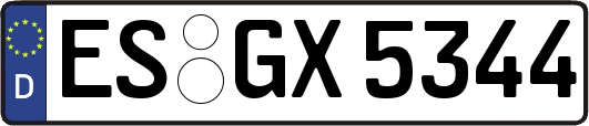ES-GX5344