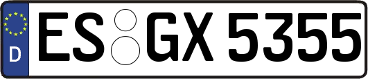 ES-GX5355