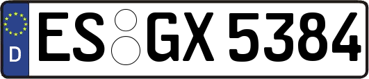 ES-GX5384