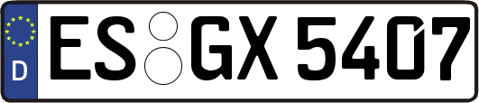 ES-GX5407