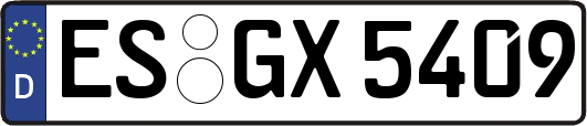 ES-GX5409