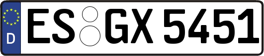 ES-GX5451