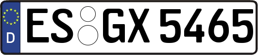 ES-GX5465