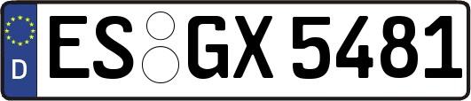 ES-GX5481