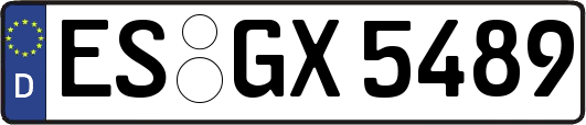 ES-GX5489