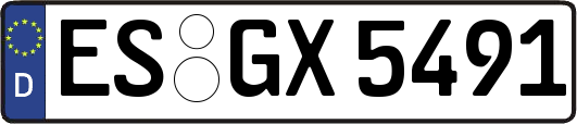 ES-GX5491