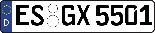 ES-GX5501