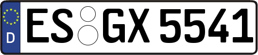 ES-GX5541