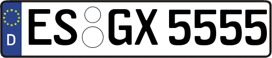 ES-GX5555
