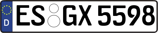 ES-GX5598
