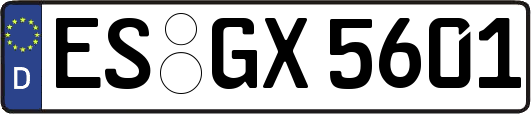 ES-GX5601