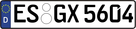 ES-GX5604