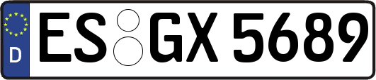 ES-GX5689