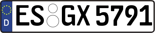 ES-GX5791