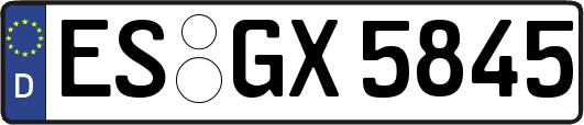ES-GX5845