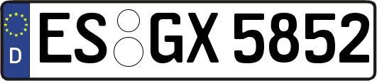 ES-GX5852
