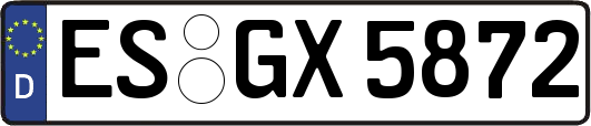 ES-GX5872