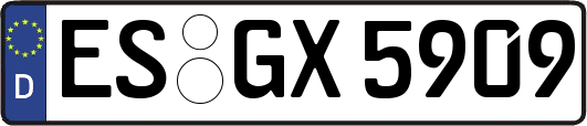 ES-GX5909