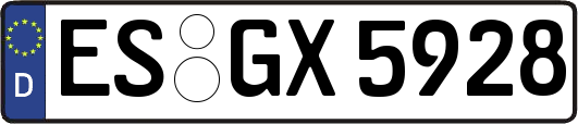 ES-GX5928