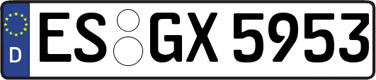 ES-GX5953