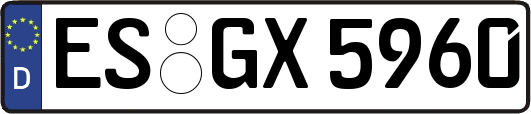 ES-GX5960