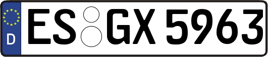 ES-GX5963