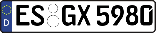 ES-GX5980