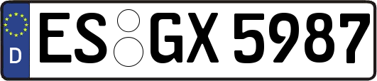 ES-GX5987