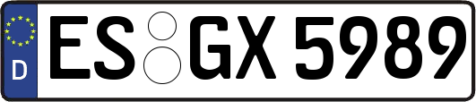 ES-GX5989