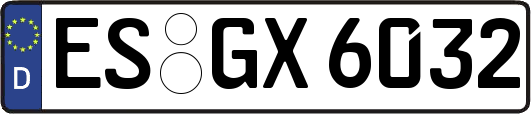 ES-GX6032