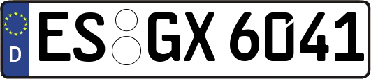 ES-GX6041