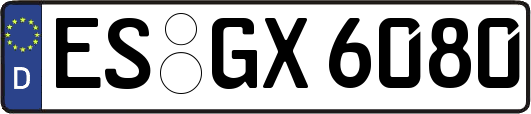 ES-GX6080