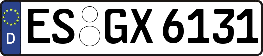 ES-GX6131