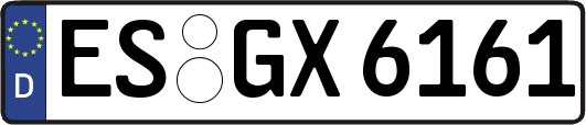 ES-GX6161