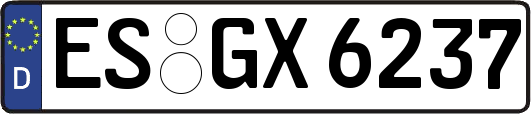 ES-GX6237