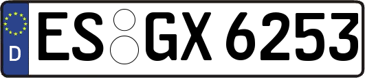 ES-GX6253