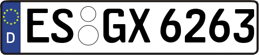 ES-GX6263