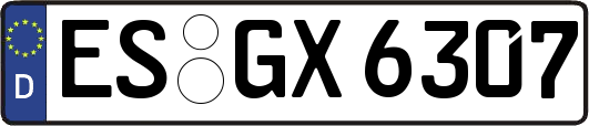 ES-GX6307