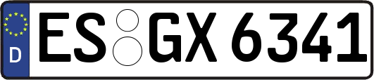 ES-GX6341