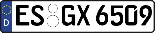 ES-GX6509