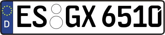 ES-GX6510