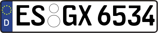 ES-GX6534