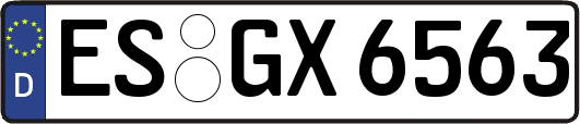 ES-GX6563