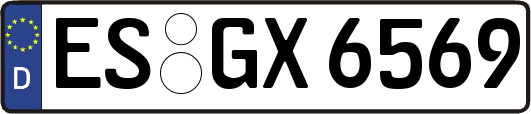 ES-GX6569