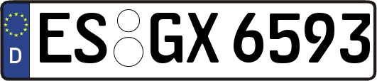 ES-GX6593