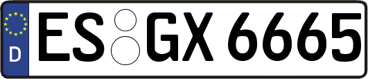 ES-GX6665