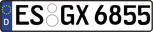 ES-GX6855