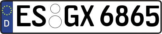 ES-GX6865
