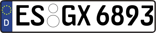 ES-GX6893